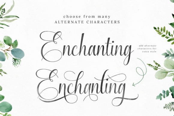 Enchanting Script Font - Image 5