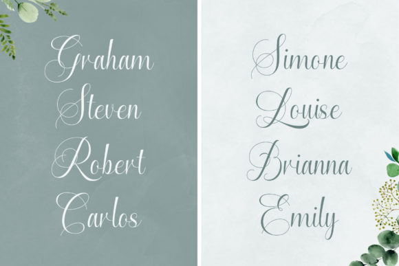Enchanting Script Font - Image 6