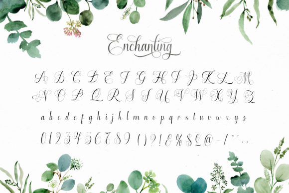 Enchanting Script Font - Image 7
