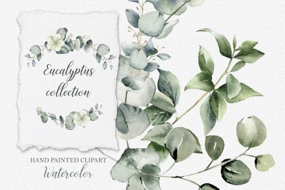 Eucalyptus Clipart. Watercolor Greenery - Image 5
