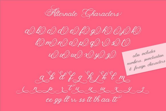 Fancy Script Font - Image 5