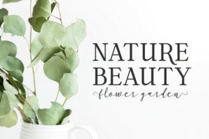 Alternative view of Farmhouse Daisy Font