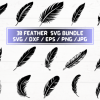 Feather SVG