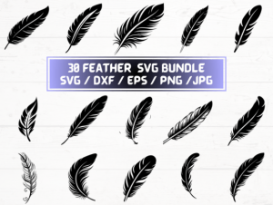 Feather SVG