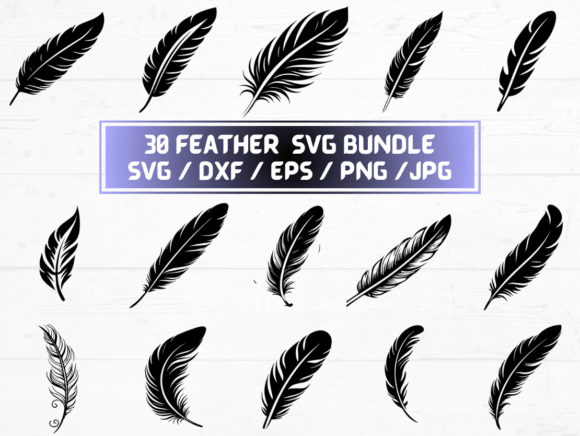 Feather SVG
