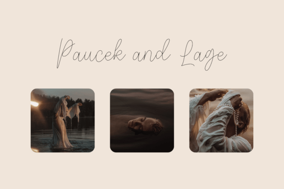 Fidelity Contrasts Font - Image 4