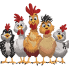 Funny Chicken Family