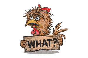 Funny Confused Chicken
