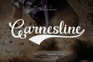 Garnesline Font
