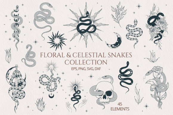 Hand Drawn Floral & Celestial Snake Set