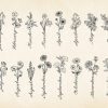 Hand-drawn Birth Flowers with Month Name