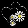 Heart Daisy Flower