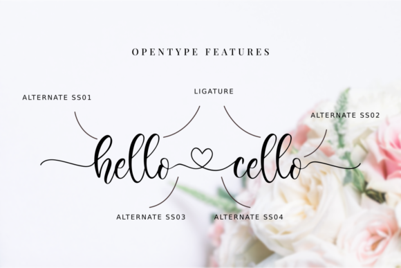 Hello Cello Font - Image 2