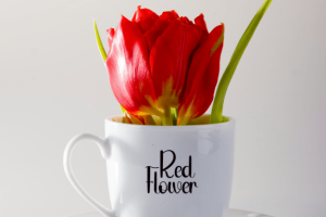 Alternative view of Hello Kitty Font