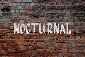 Alternative view of Hiphop Jumps Font