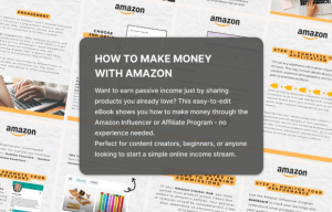 Alternative view of How to Make Money with Amazon EBook