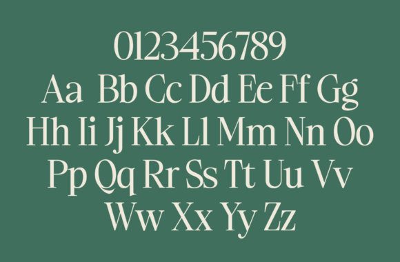 Ladinta Font - Image 8