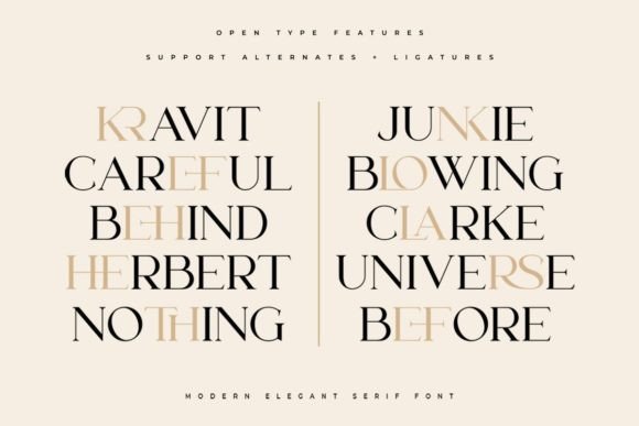 Lanche Font - Image 6