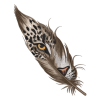 Leopard and Feather