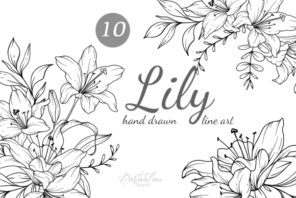 Lilies LINE DRAWING, Floral Line Art