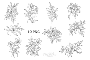Alternative view of Lilies LINE DRAWING, Floral Line Art