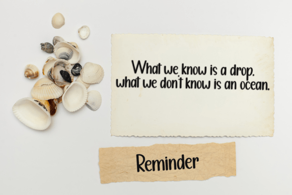 Limited Bundle Font - Image 5