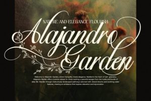 Alternative view of Mahogany Font