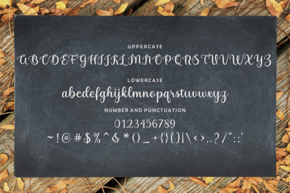 Marlista Beauty Font - Image 9