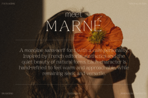 Alternative view of Marne Font