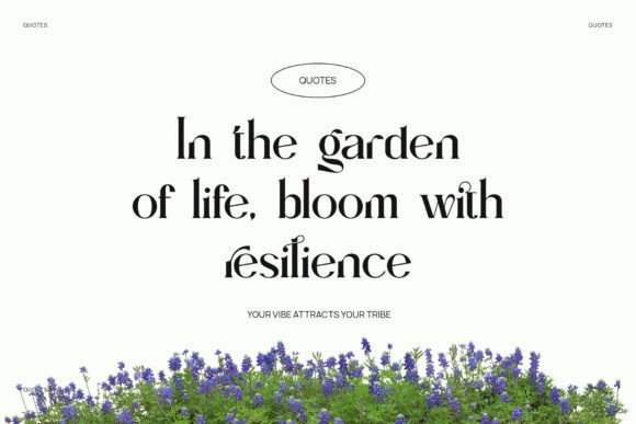 Migroska Font - Image 2