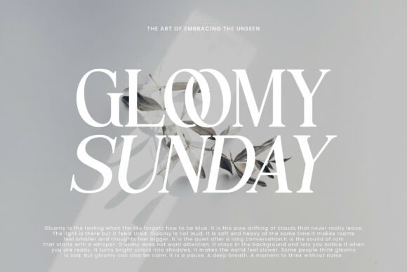 Modern Serif Bundle Font - Image 5