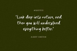 Alternative view of Natural Handwriting Font