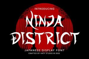 Ninja District Font
