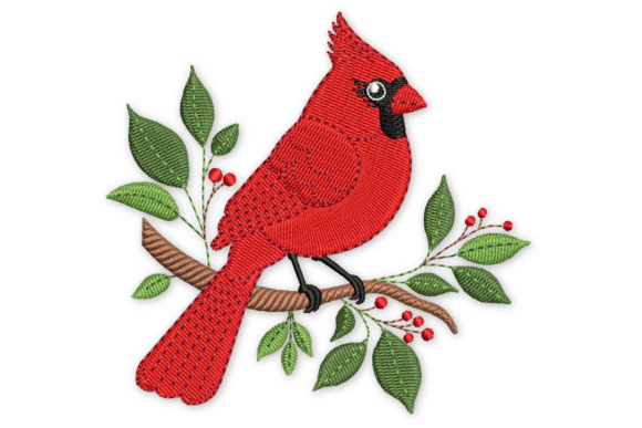 Northern Red Cardinal Bird