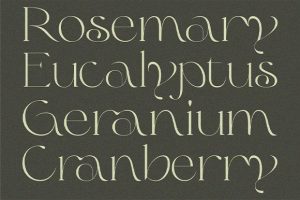 Alternative view of Olive & Citrus Font
