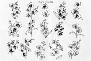 Alternative view of Orchid Flowers Line Art Svg