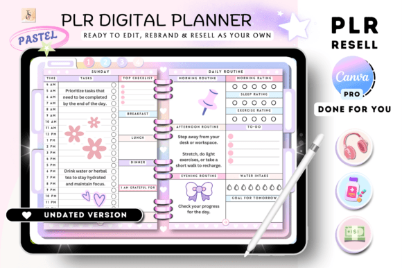 PLR Canva Digital Planner ( Resell )