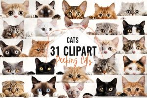 Peeking Cats Sublimation Clipart