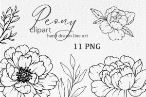 Peonies LINE DRAWING, Floral Line Art