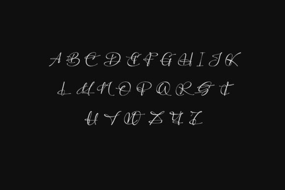 Perfect Signature Font - Image 9