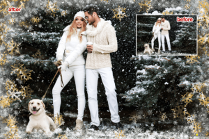 Alternative view of Photo Overlays Snowflake