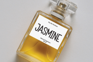 Alternative view of Photography Font