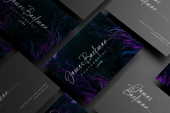 Primal Signature Font - Image 3