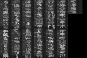 Alternative view of Procreate Tree Landscape Brush Stamp Set