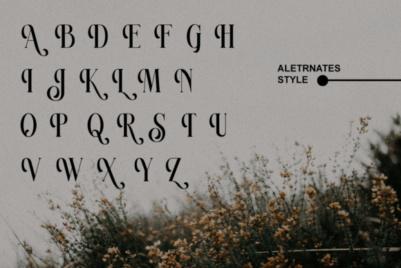 Ravsten Regular Font - Image 9