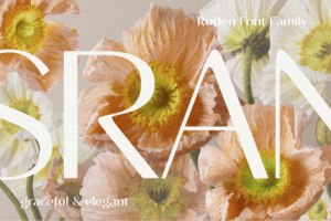 Alternative view of Roden Font