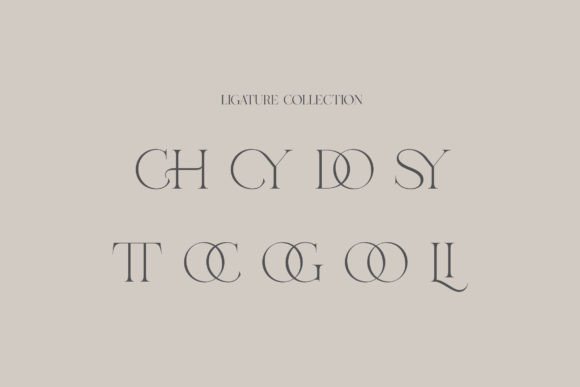 Rusilla Serif Font - Image 9