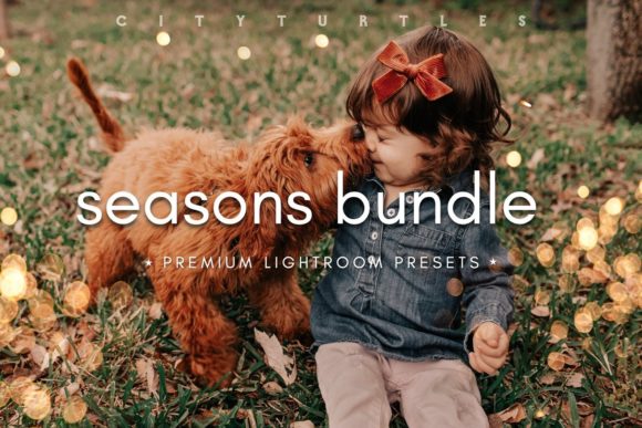 SEASONS BUNDLE Lightroom Presets