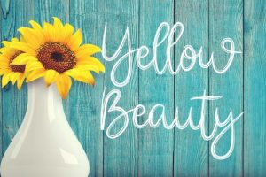 Alternative view of School Font