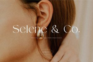 Alternative view of Sermo Font